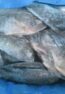 Best-Quality-Frozen-Tilapia-Fish