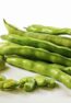fava-beans-horiz-a-1200