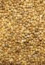millet-57ec3ebf5f9b586c35d33451